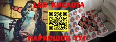 МДПВ Камышлов