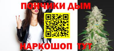 МДПВ Камышлов