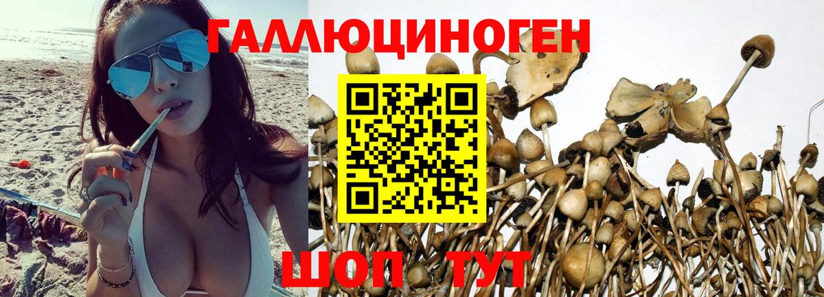 Галлюциногенные грибы Magic Shrooms  Вход с VPN  Зима 